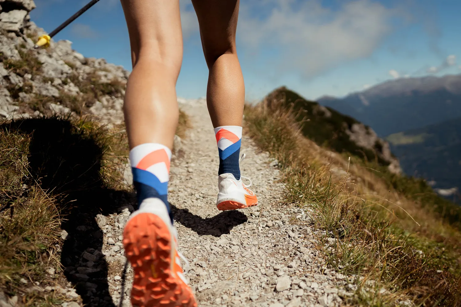 Incylence Trail Summits Tricolore løbestrømper anti-insekt