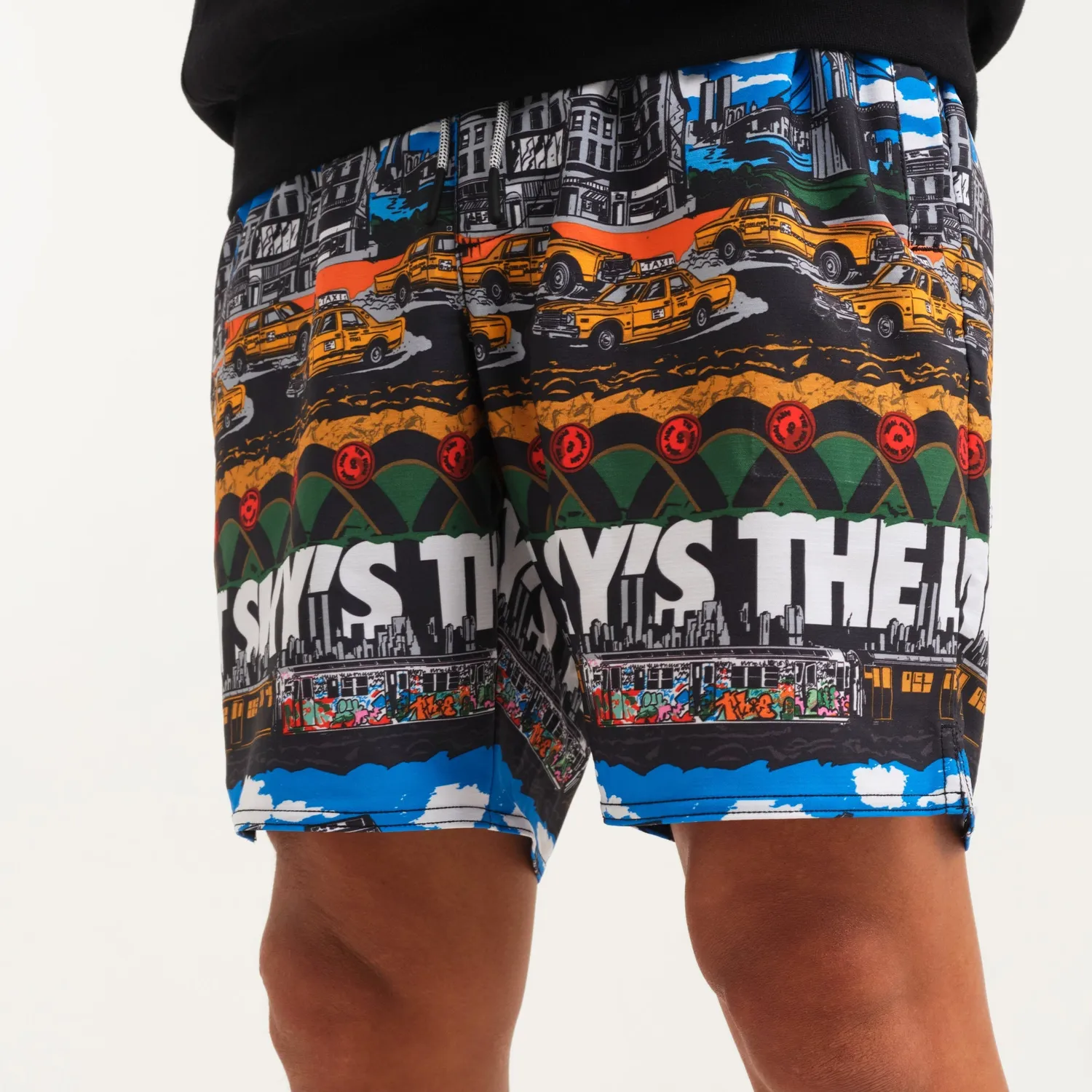 Stance Big Complex shorts 7" multi FreshTek