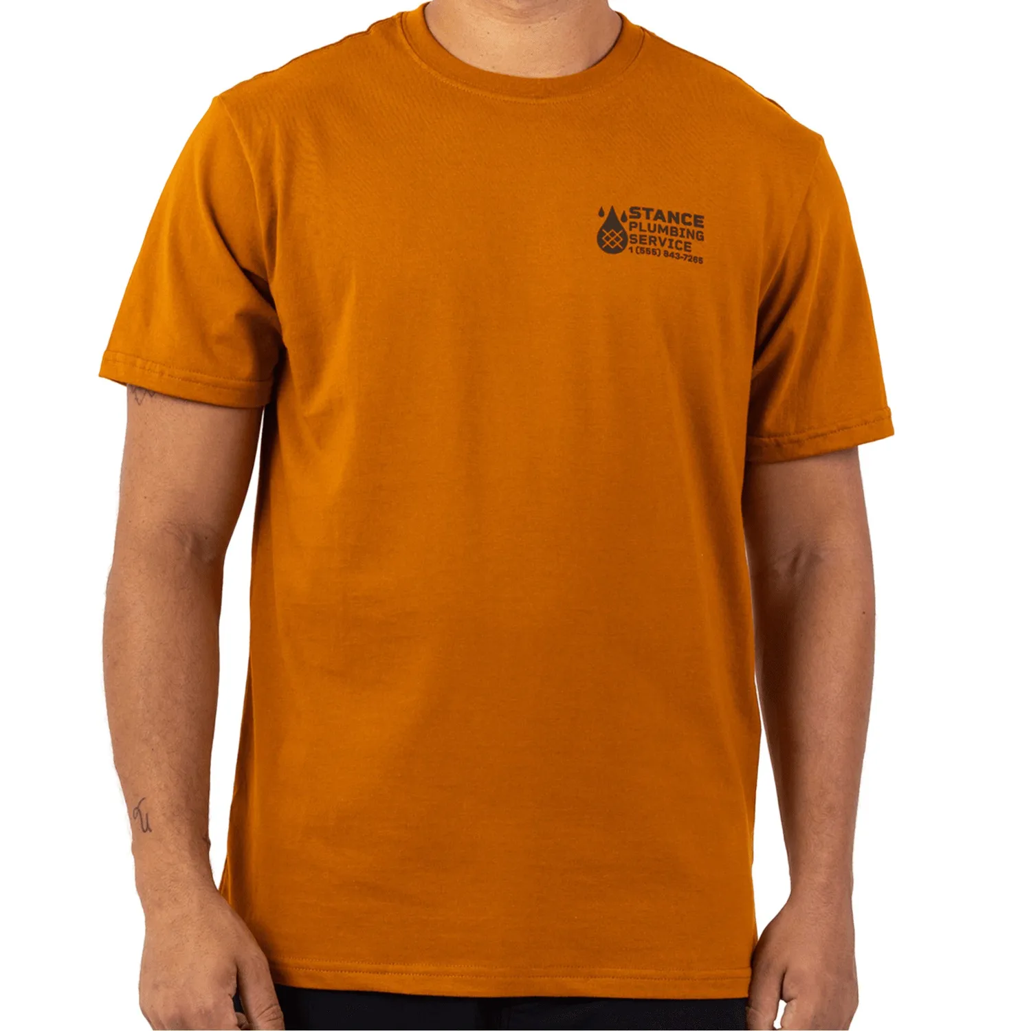 Stance Classified Tee T-shirt spice bomuld