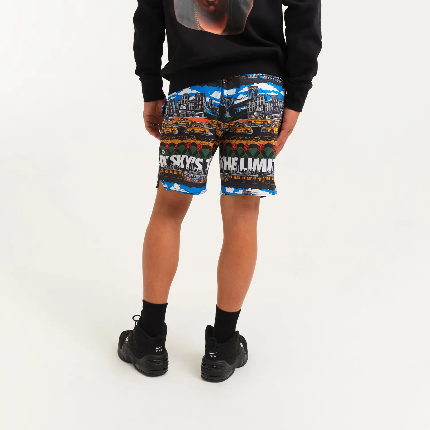 Stance Big Complex shorts 7" multi FreshTek