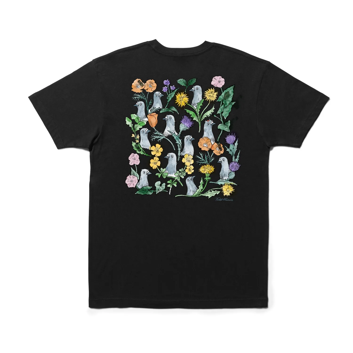 Stance Pigeon Street T-shirt sort bomuld