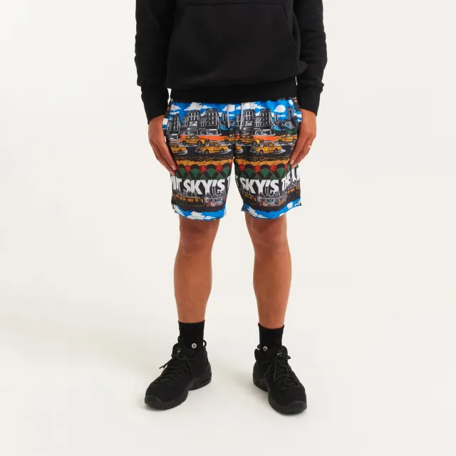 Stance Big Complex shorts 7" multi FreshTek