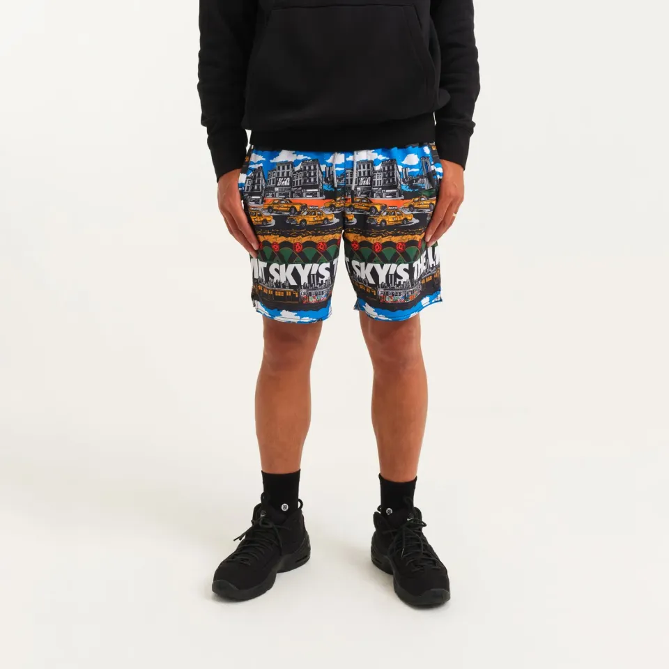 Stance Big Complex shorts 7" multi FreshTek
