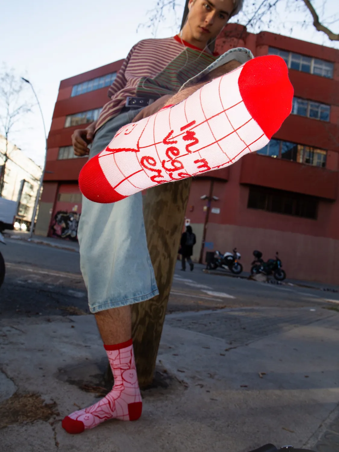 Eat My Socks Veggie Flat-Pack sokker grøntsag