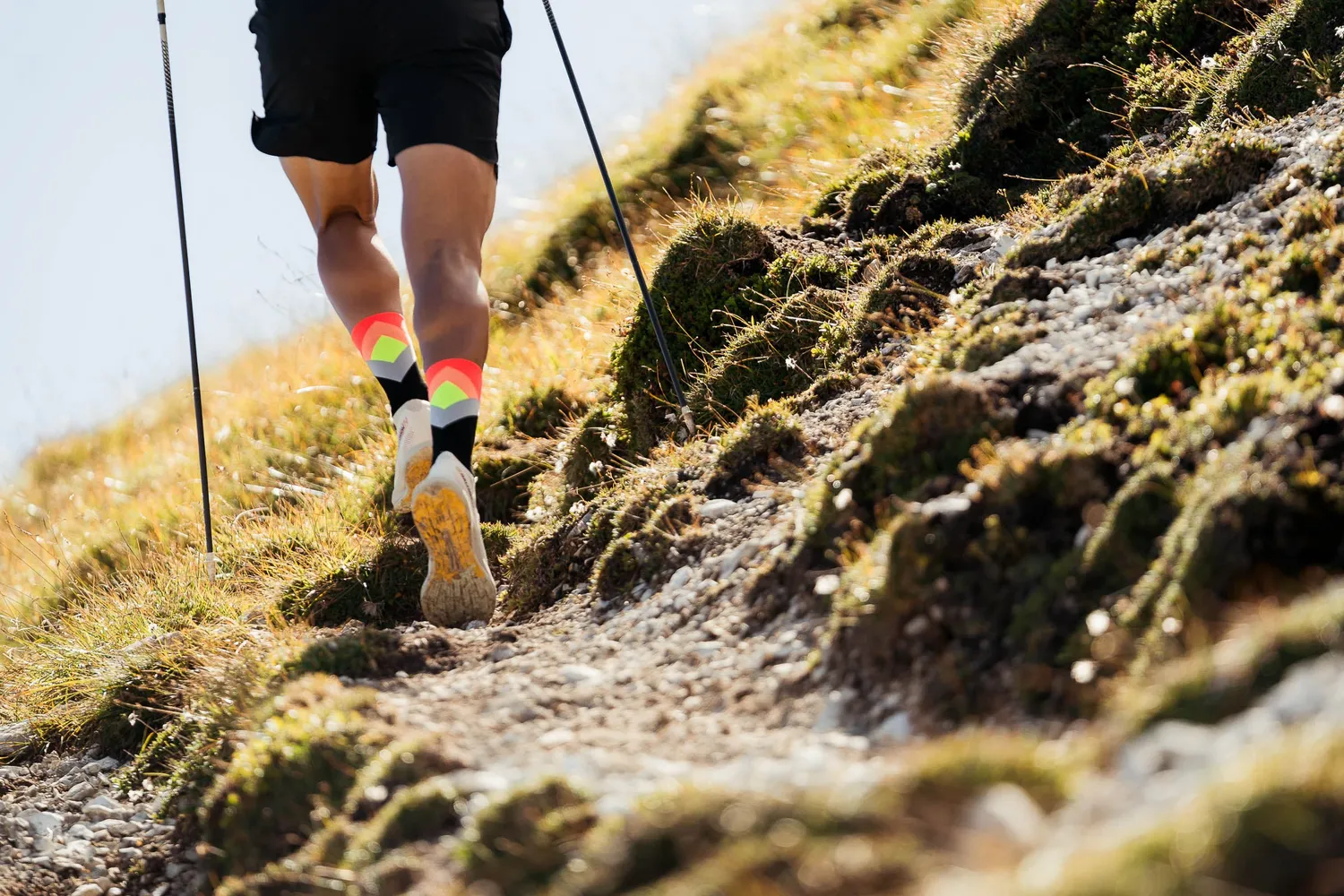 Incylence Trail Summits Sunset trailsokker 39-42 dæmpede