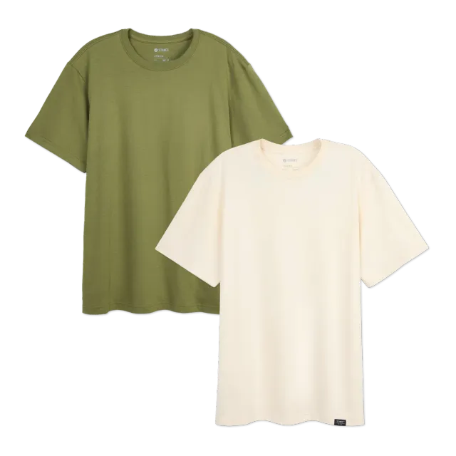 Stance All Day t-shirt 2-pak creme bomuld